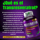 Resveratrol Con INVIMA 1000mg — Antioxidante + Colágeno + Vitamina C